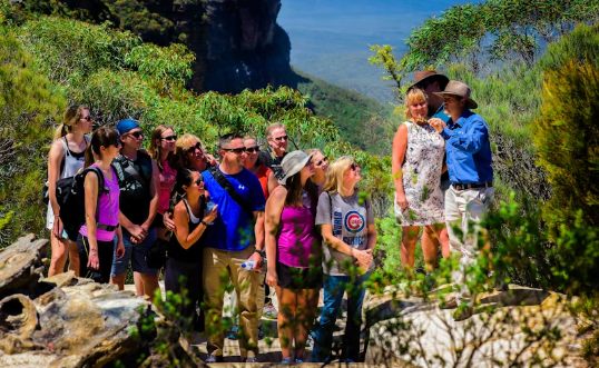 The Blue Mountains World Heritage private guided hike - Image 3